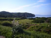 south-west coast of sardinia